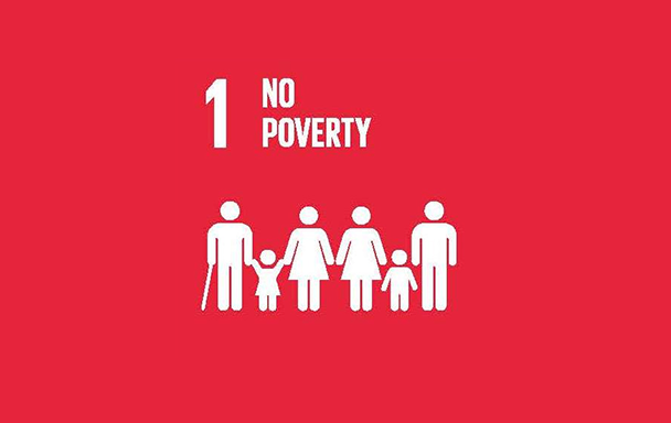 No poverty