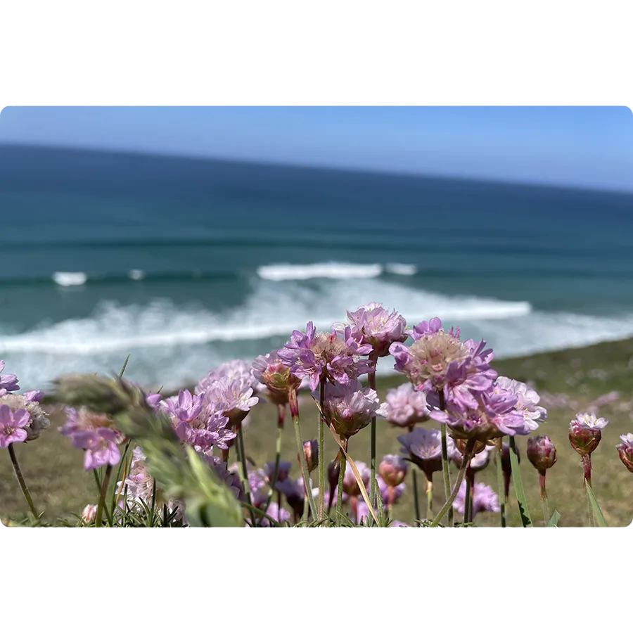 Design Thinking workshops